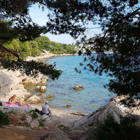 Masa Tribalj